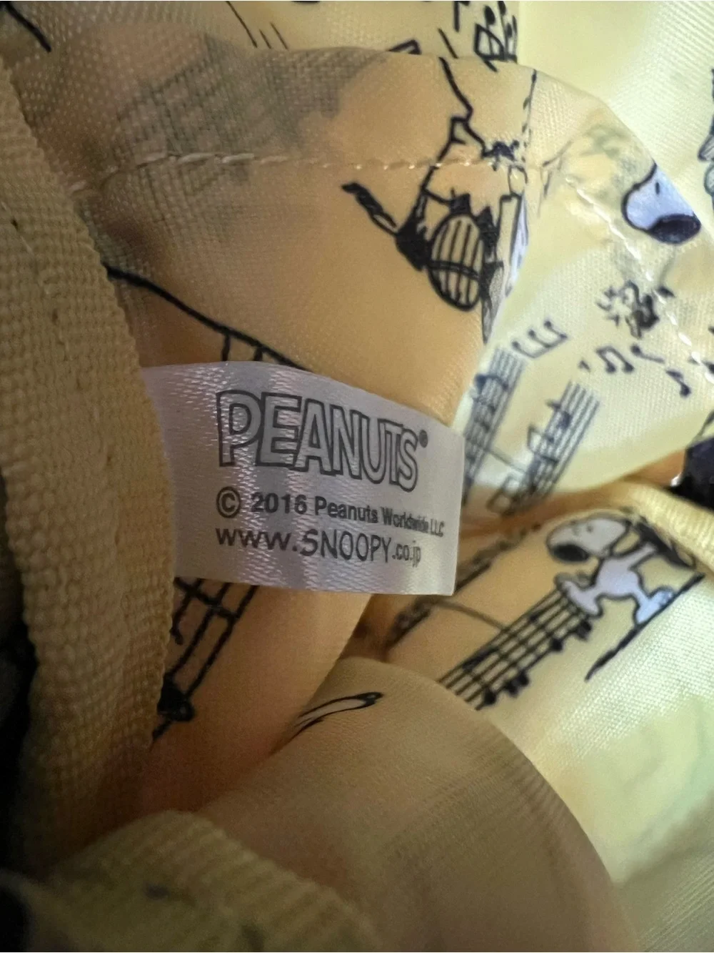Peanuts compact pouch